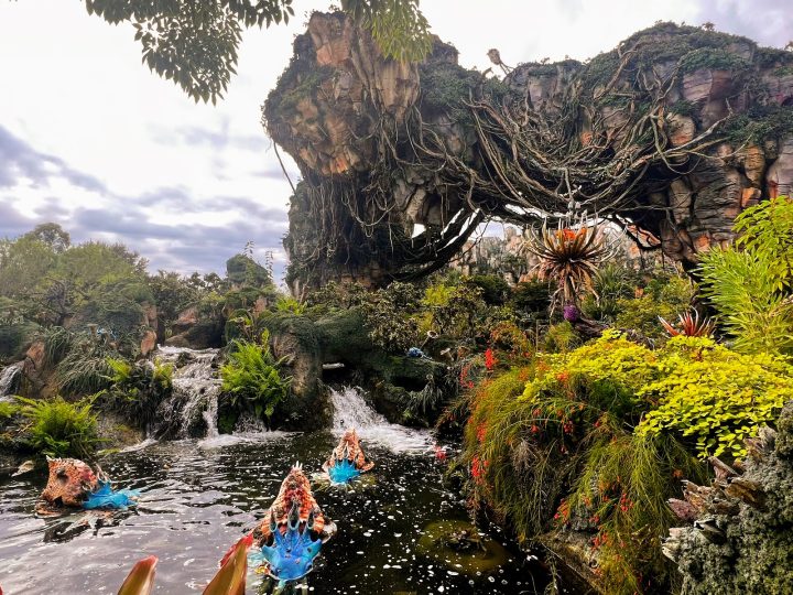 Pandora – The World of Avatar at Animal Kingdom (Flight of Passage)