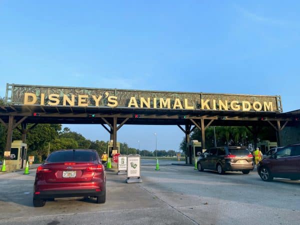 animal Kingdom Parking Plaza