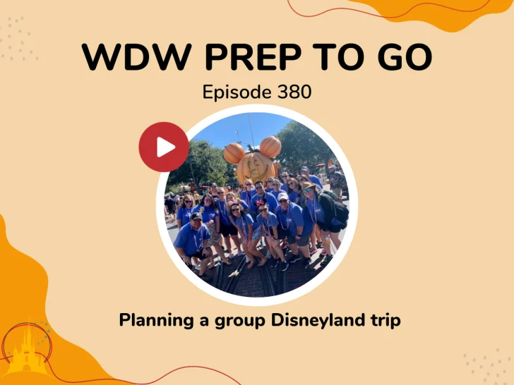 Planning a group Disneyland trip – PREP 380