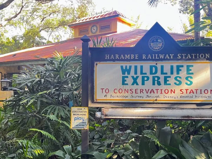 Complete Guide to Wildlife Express Train at Animal Kingdom