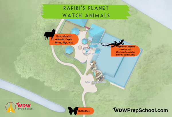 rafiki's planet watch animal locations