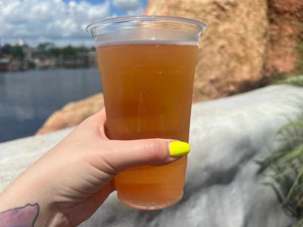 Refreshment Outpost Watermelon Hibiscus Lager