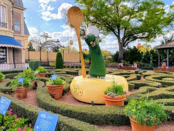 Remy topiary at Flower and Garden