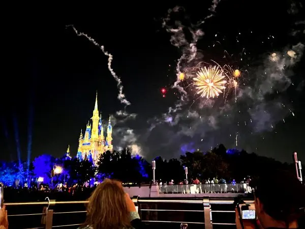 view of fireworks at magic kingdom for seats and sweets dessert party