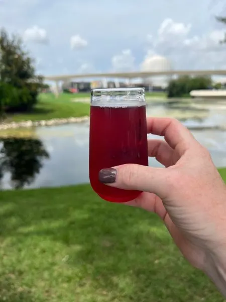 Shimmering Sips Berry Mimosa