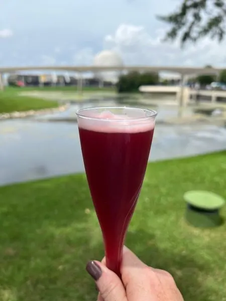 Shimmering Sips Berry Sour Mimosa