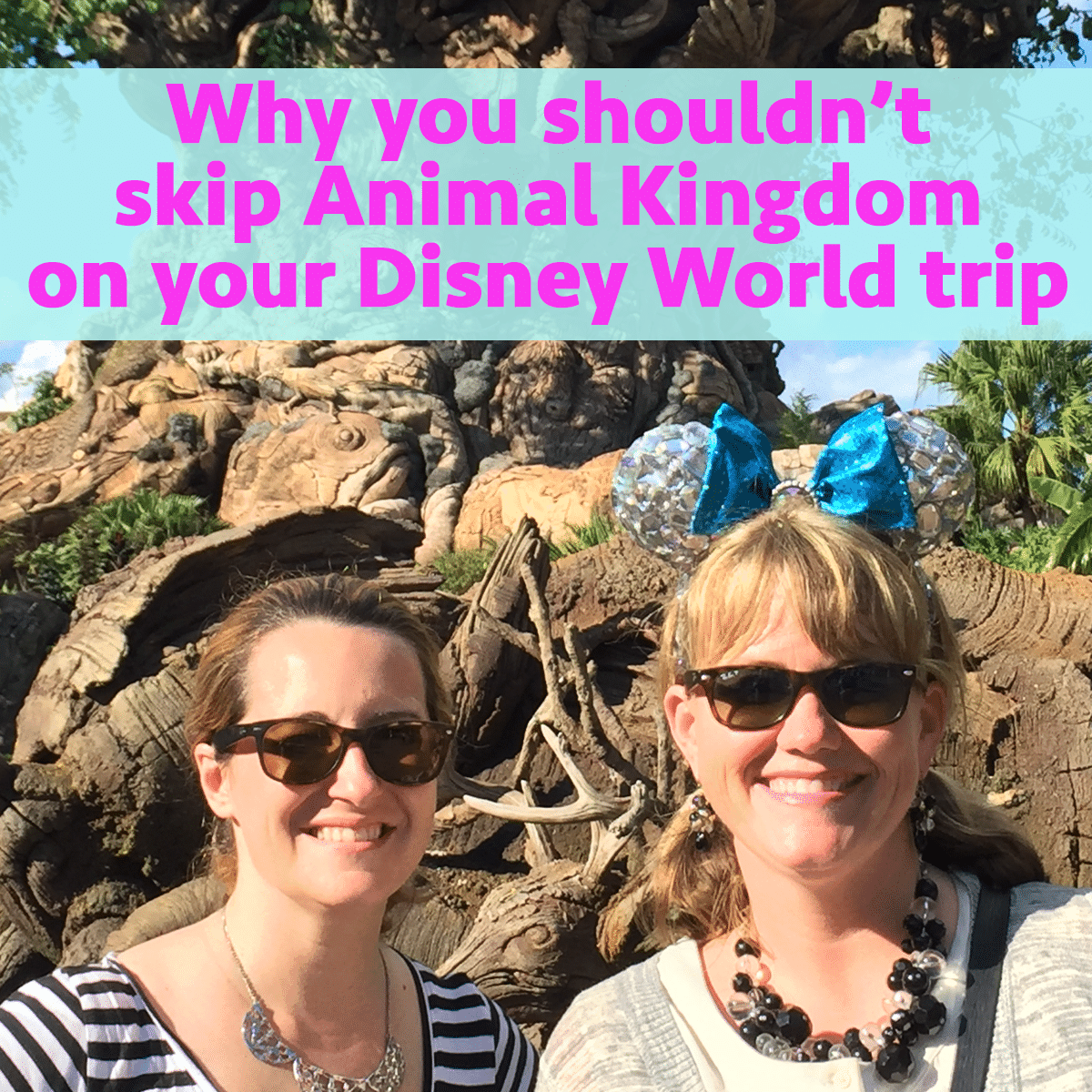 Why you shouldn’t skip Animal Kingdom – PREP117