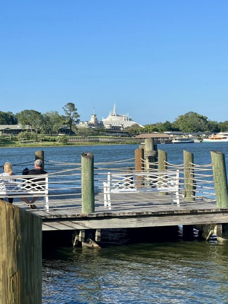 views of space mountain from narcoossee's at grand floridian
