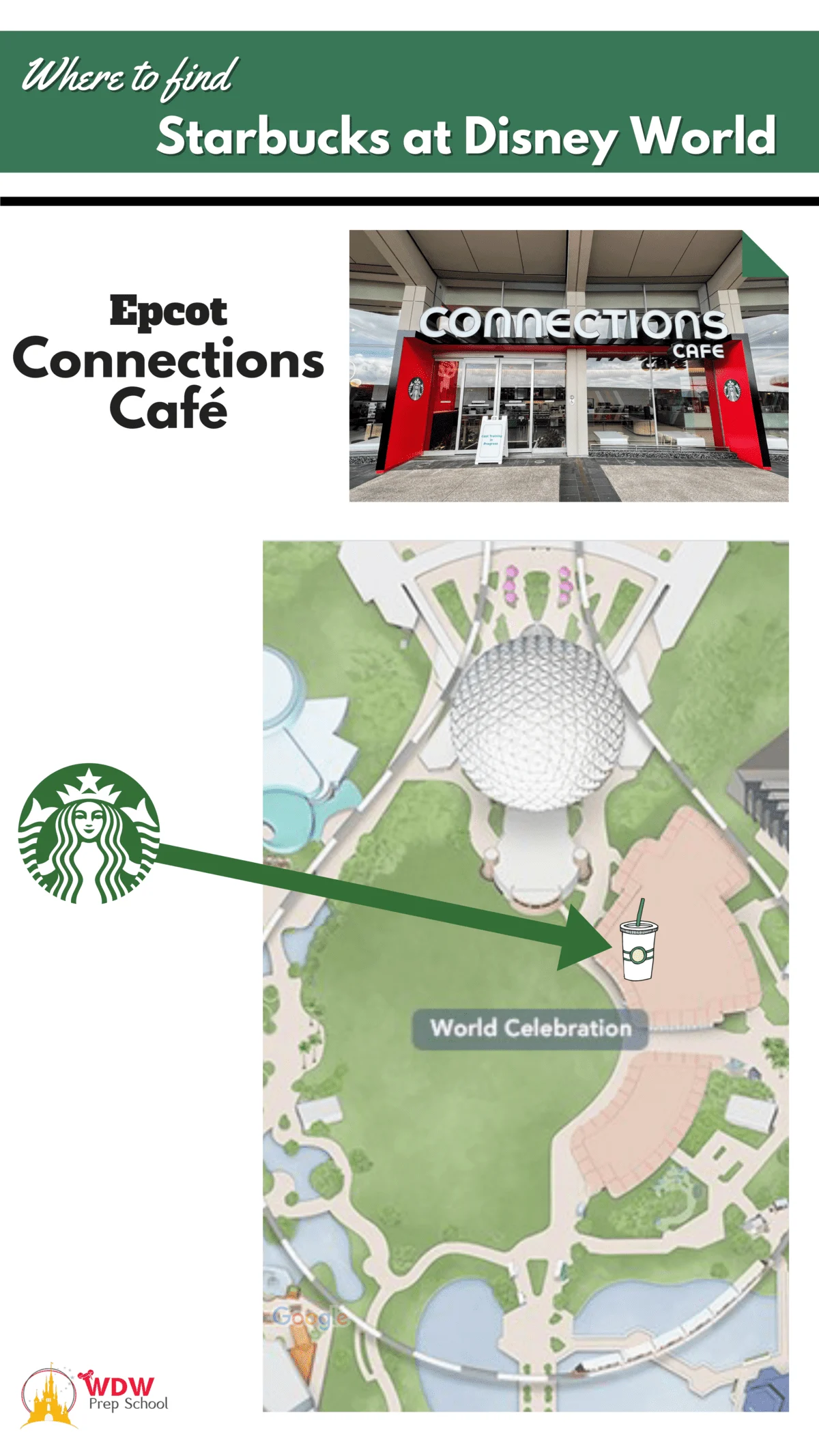 Starbucks at Walt Disney World - Tips from the Magical Divas and Devos