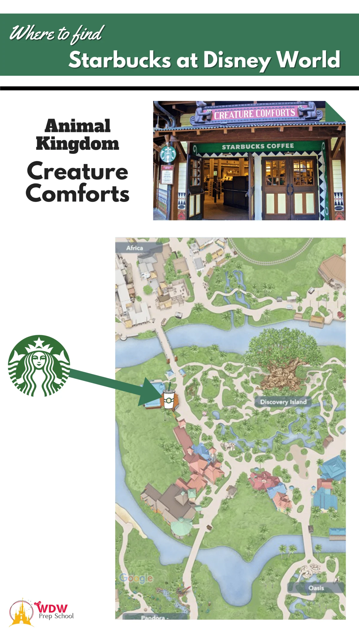 https://wdwprepschool.com/wp-content/uploads/starbucks-at-disney-world-here-everything-you-need-to-know-4.png.webp