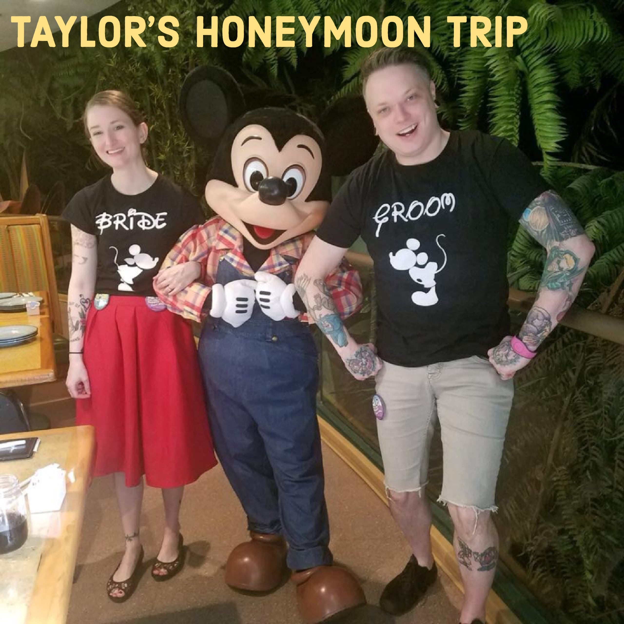Taylor's Honeymoon Trip