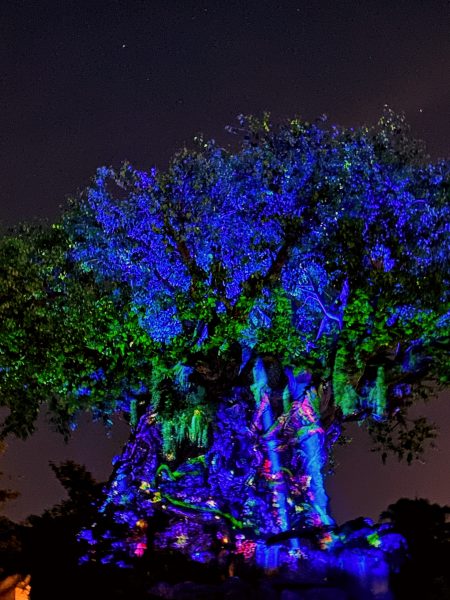 Tree of life beacon of magic