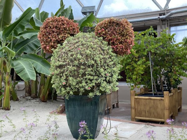 living with the land - hidden mickey - the land pavilion - epcot
