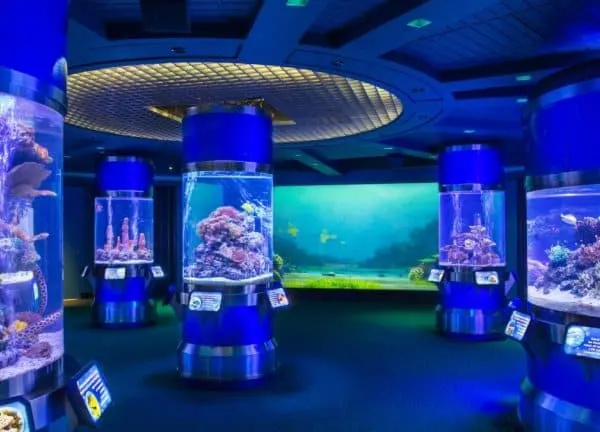 aquarium at the seas pavilion