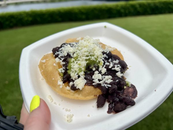 tostada with extra black beans and no pork - mexico - epcot food and wine