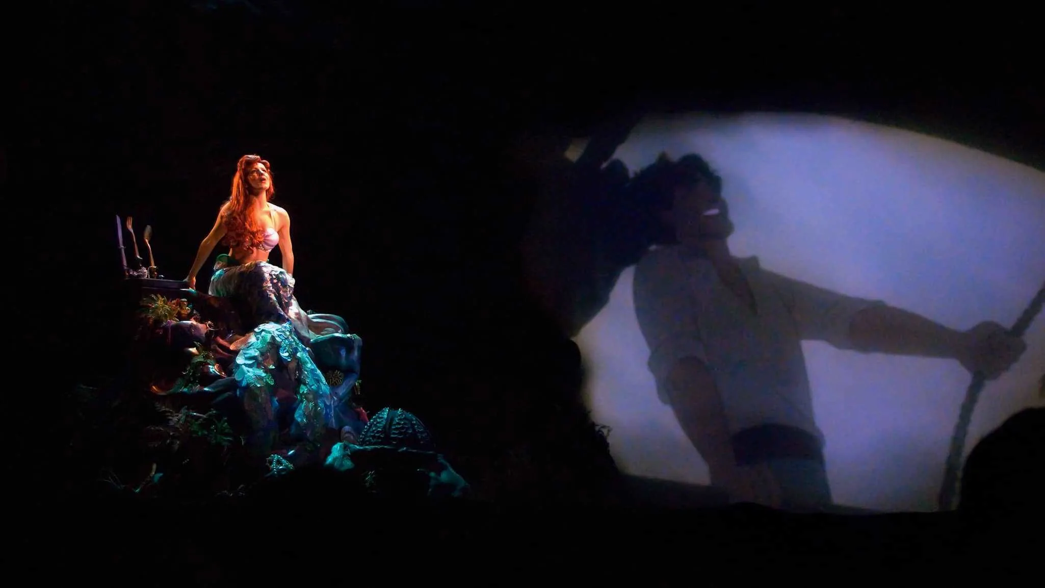 Voyage of Little Mermaid – Temporarily Unavailable