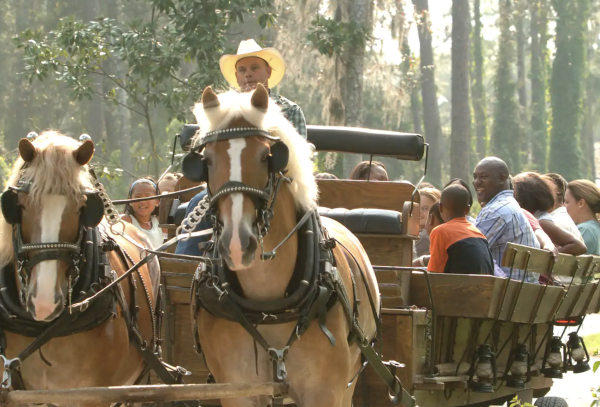 wagon ride at fort wilderness