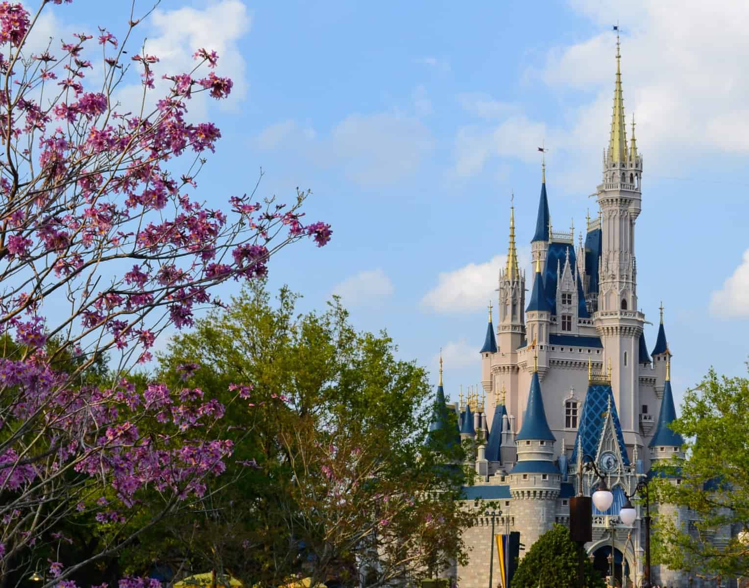 Walt Disney World Annual Passes & Park Hopper Add-Ons Increase In Price