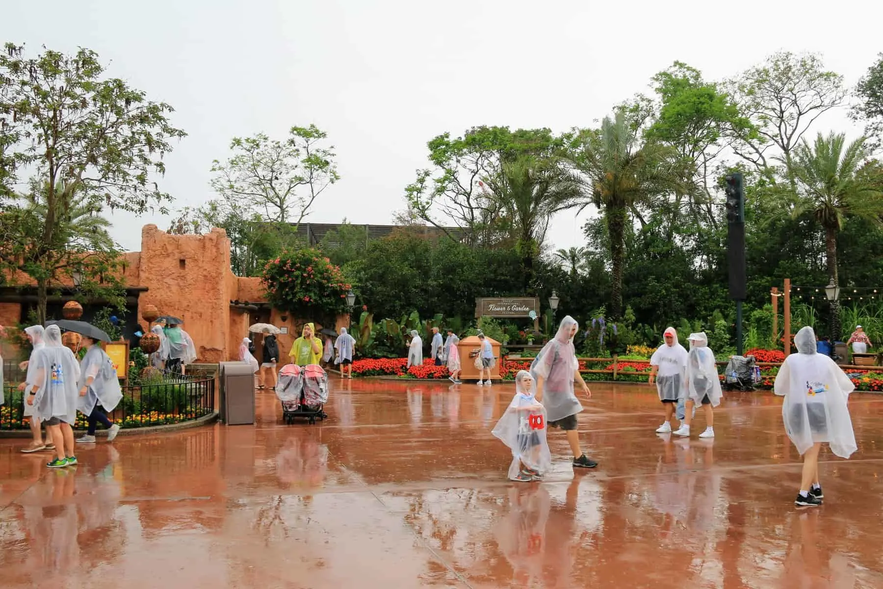 Weather at Disney World: What to Expect Each Month