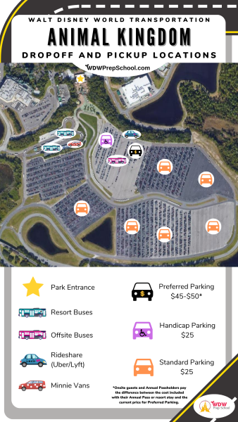 Animal kingdom transportation map rideshare bus parking lots