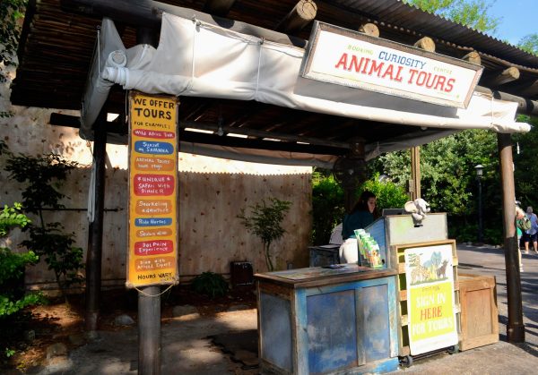 animal tours disney's animal kingdom