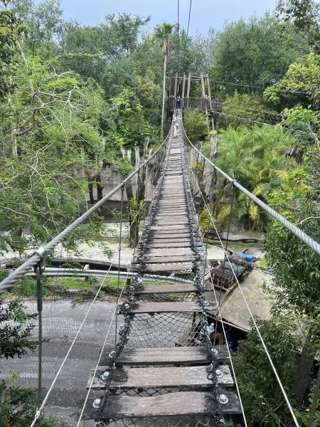 bridge on wild africa trek
