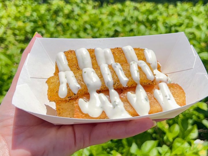 Best Vegetarian Options at Epcot Food and Wine 2023